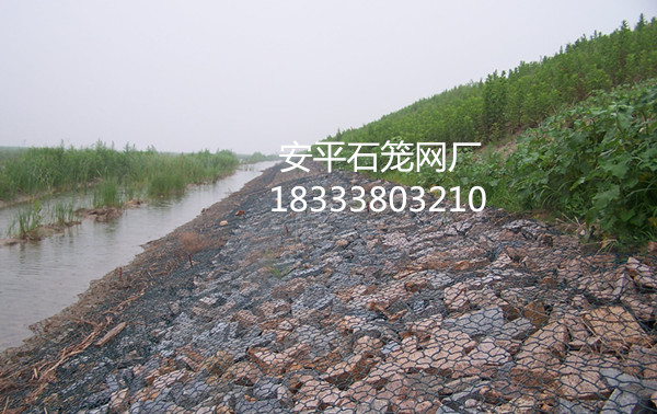 生態格賓網
