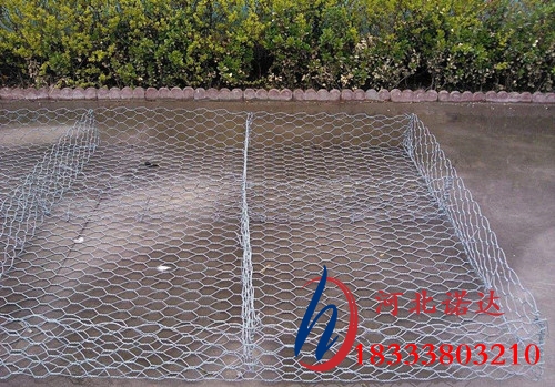 單隔板雷諾護墊