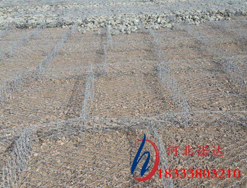 雙隔板雷諾護墊