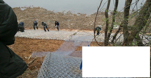 高爾凡雷諾護墊